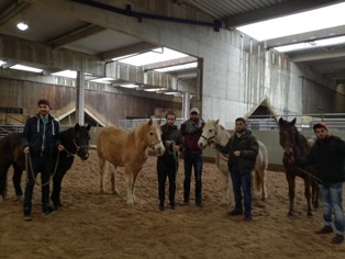 HEROES Schweinfurt beim Pferdegestützten Coaching.