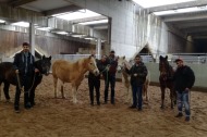 Durch pferdegestütztes Coaching lernen HEROES Schweinfurt den richtigen Einsatz ihrer Körpersprache.